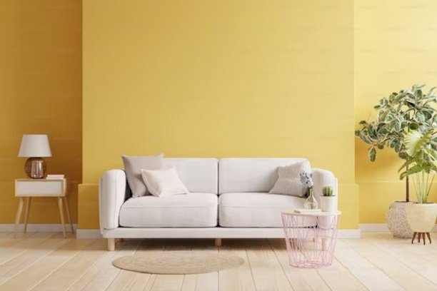 Pembersihan Sofa, Sofa Bed